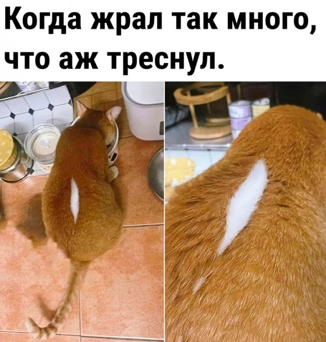 Так себе картинки 20.01.24