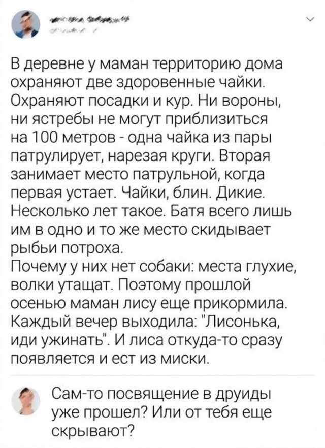 Так себе картинки  07.02.24