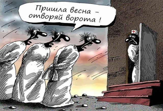 Жительница Комсомольска-на-Амуре усмотрела экстремизм в торте «Радуга»