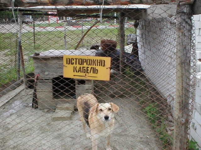 ФотоВинегрет
