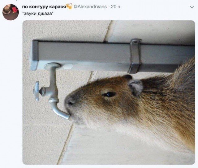 Завалялось тут случайно немного забавных картинок