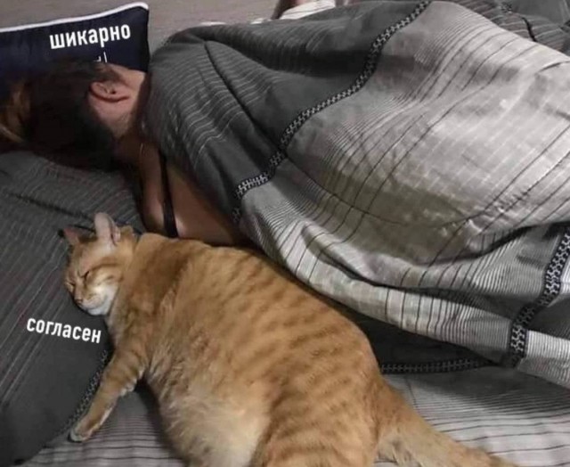 Нуштош 26.06.2024