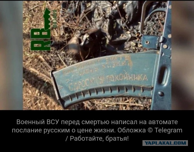 Убитый солдат ВСУ оставил русским послание на магазине автомата