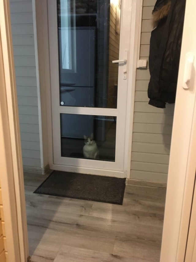 Оборотни против вампиров. Конкурс ужастиков к 31 октября