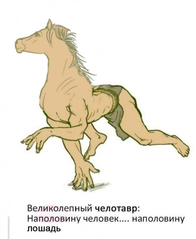 Нуштош 25.10.2024