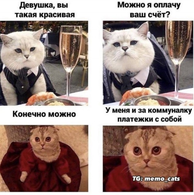 Завалялось тут случайно немного забавных картинок