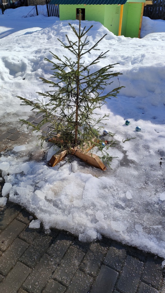 Думаю пора!!!