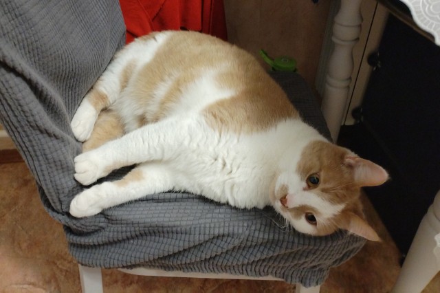 Мини-пятица