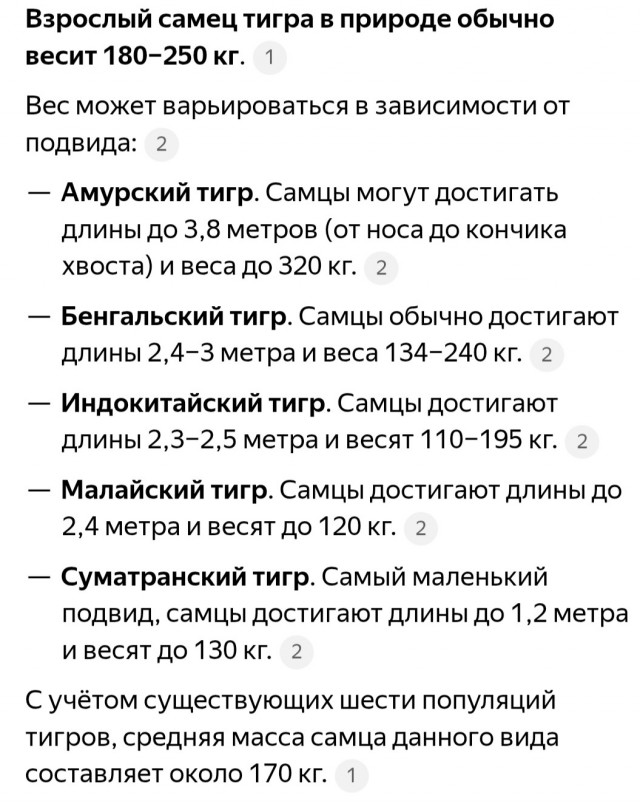 Домашний кот весом 600 кг