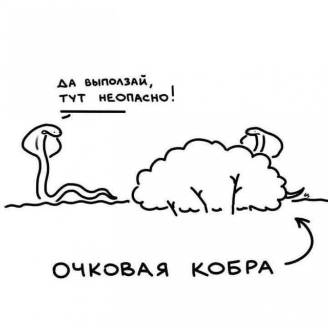 Маленькая пятница 11.06