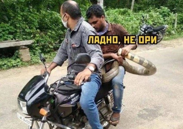 Описание любви с мифическими существами - это теперь экстремистское ЛГБТ