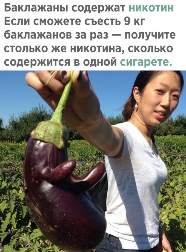 Баклажановый крик