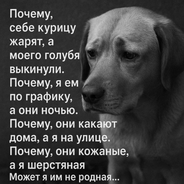 Картинки для деградации 66 (разной степени свежести)