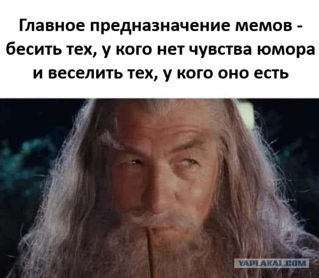 Веселые картинки в пятницу (14.11)