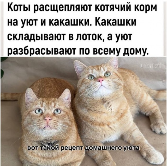 Воскресные картинки