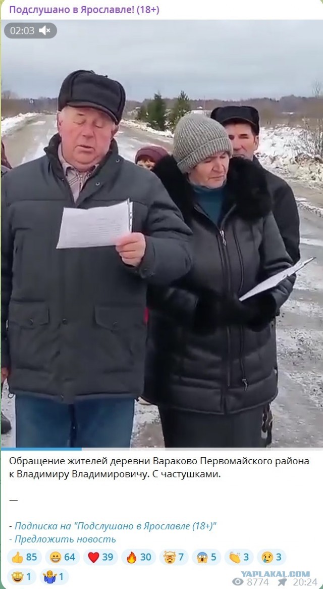 Учитесь челобитные подавать...