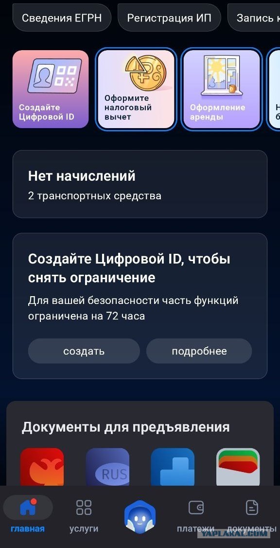 Про Макс, Госуслуги и биометрию