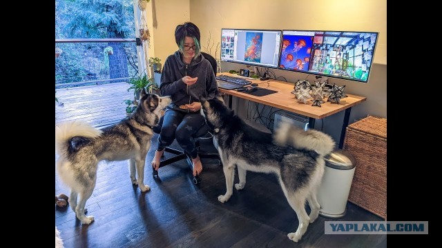 Японцы умные