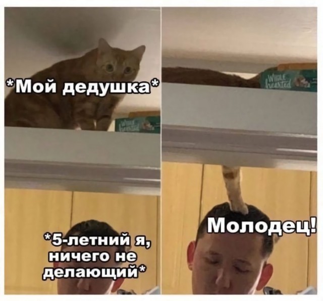 Веселые картинки в маленькую пятницу (11.03)