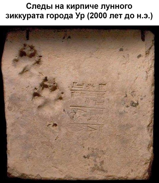 Так себе картинки 26.03.26