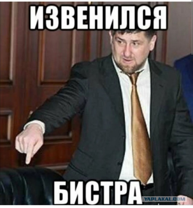 мудаки