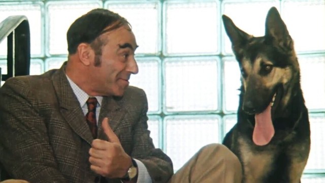 Константиновка