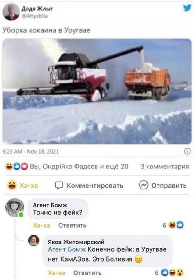 Картинки для деградации 207 (разной степени свежести)