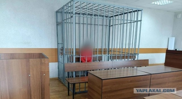 Зарезала и убежала в лес ? Женщину обвиняют в убийстве 4-летней племянницы.