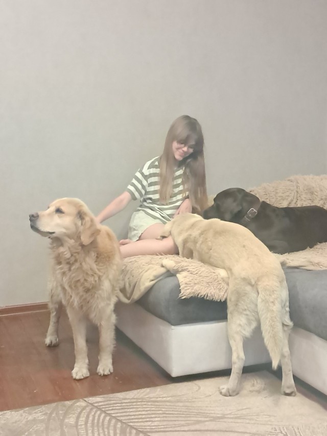 Нормальные собаки из СССР ...