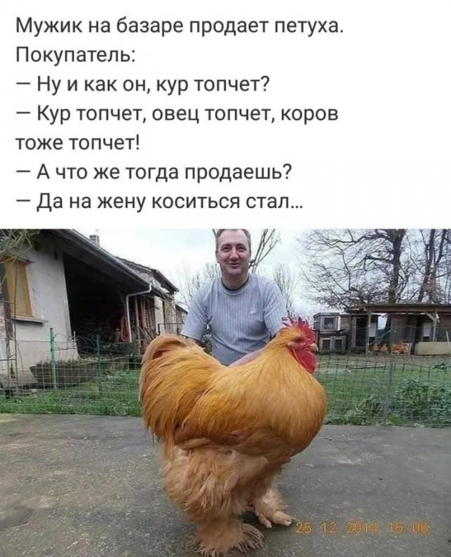 Картинки для деградации 255 (разной степени свежести)