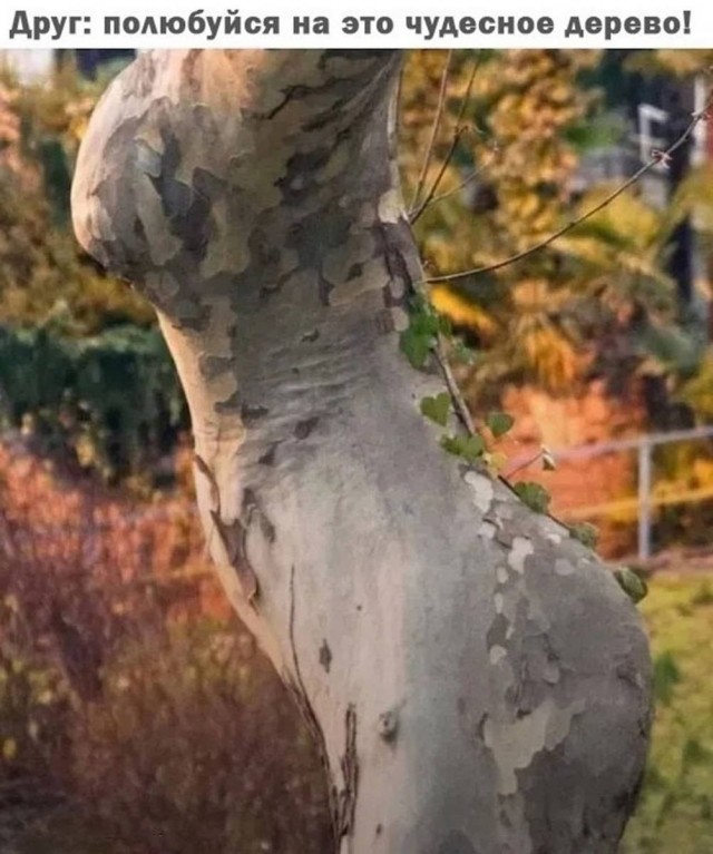 Картинки на среду