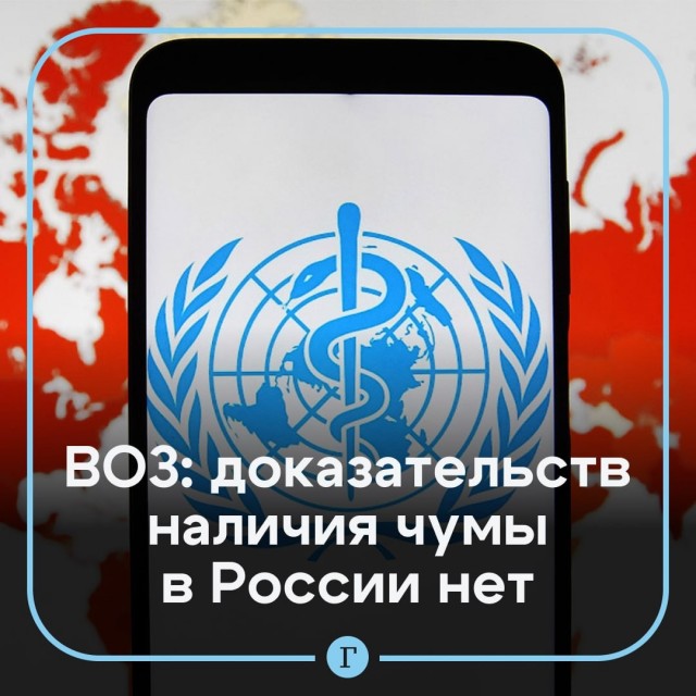 ВОЗ не выявила вспышку «чумы» в России
