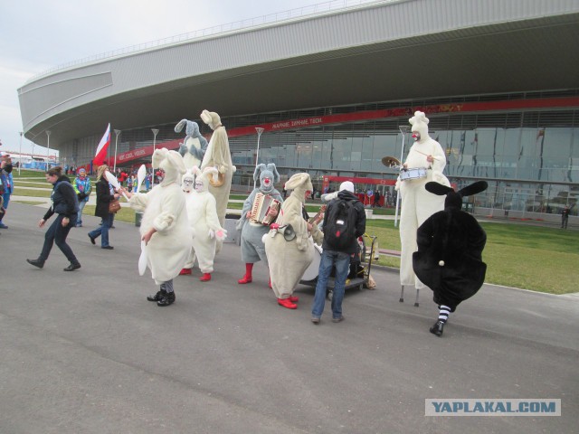 Как я ездил на кёрлинг