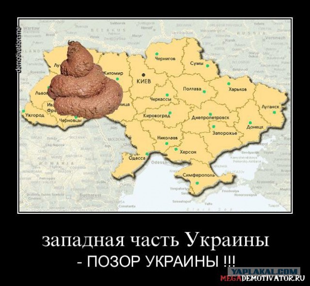 Демотиваторы и просто веселые картинки