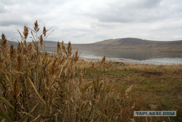 Сибирь настоящая