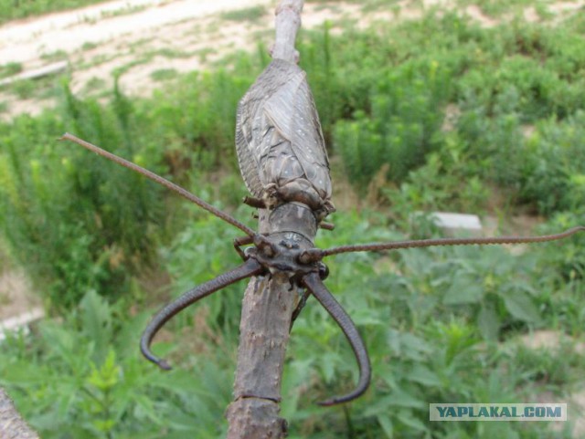 Лодку атаковало нечто!