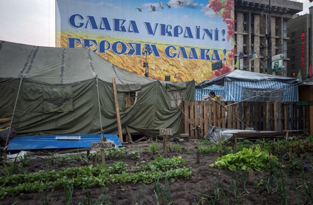 Майдан снова зажег покрышки!