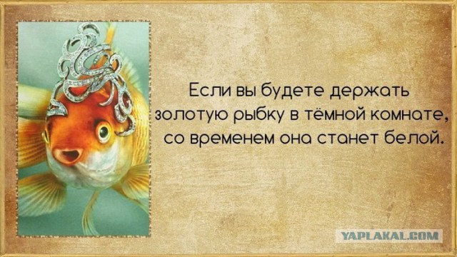 Факты в картинках