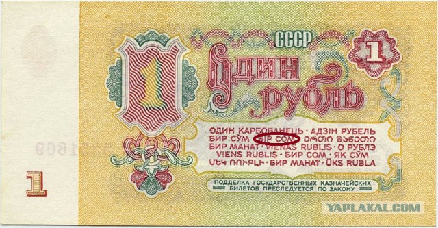 Сом – лучший мотиватор