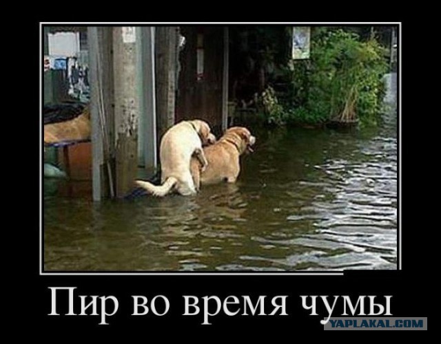Демотиваторов пост, добавляйте свои