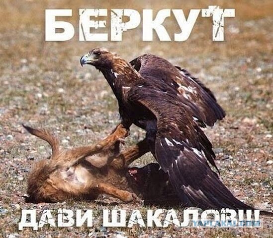 Экс-бойцы «Беркута» присягнули на верность ДНР