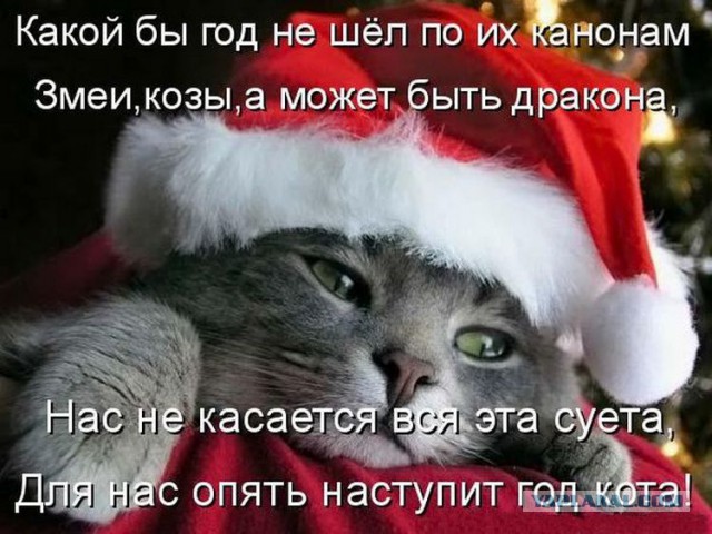 С Новым Годом, ЯП!