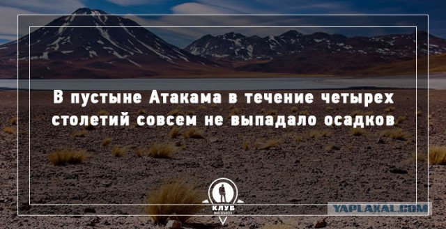 13 удивительных фактов о планете
