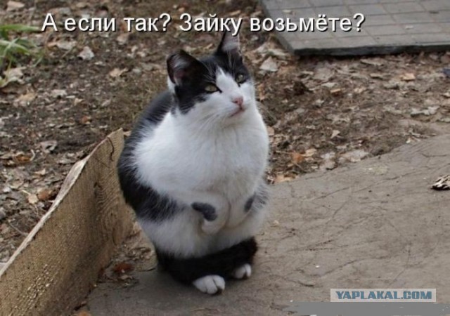 Картинки на субботу