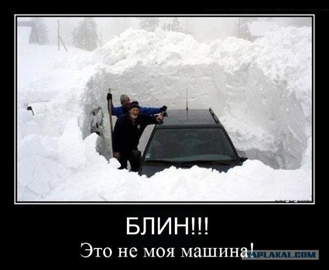 Картинки на пятницу