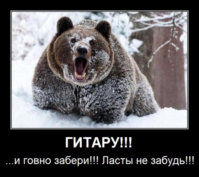 Макаревич заявил о банкротстве и отъезде из России