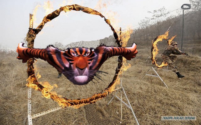 Фотожаба "Огненные Учения" Пожабим?