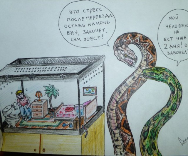 Где-то в Параллельной Вселенной