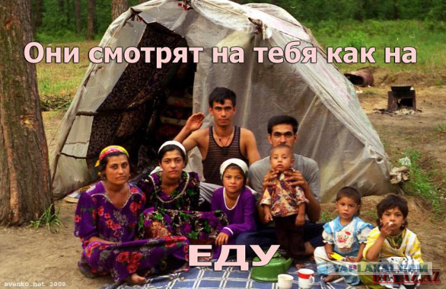 Отказал цыганам