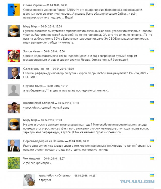 Известный аналитик о референдуме в Нидерландах